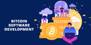 bitcoin software development company india